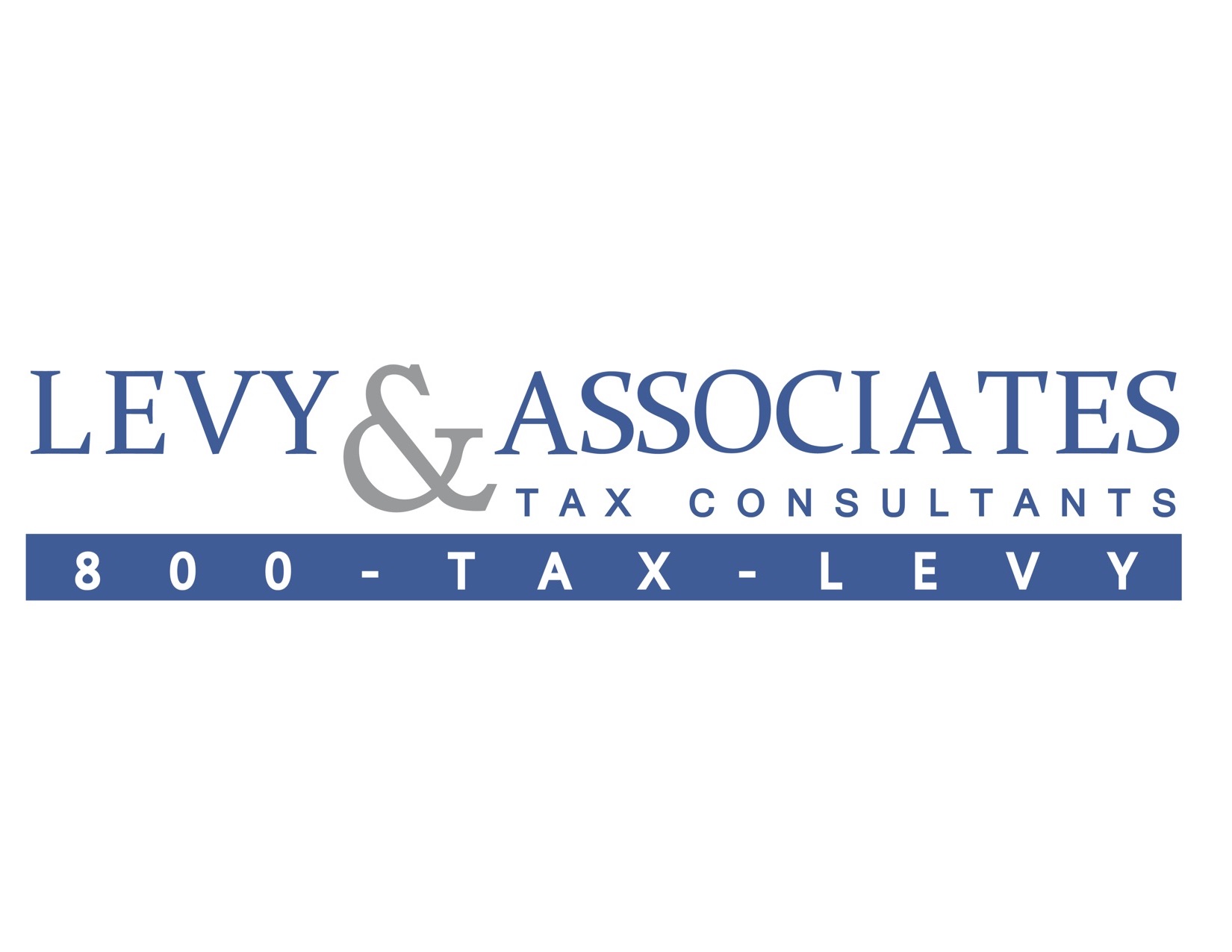 Levy & Associates