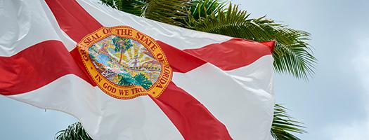 Florida_Flag_Palm_Tree_525.jpg