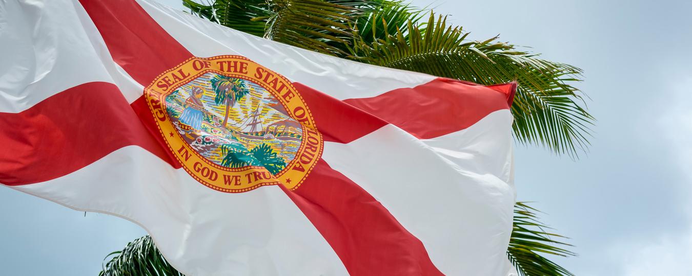 Florida_Flag_Palm_Tree_2000.jpg